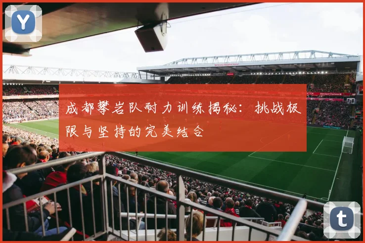 成都攀岩队耐力训练揭秘：挑战极限与坚持的完美结合